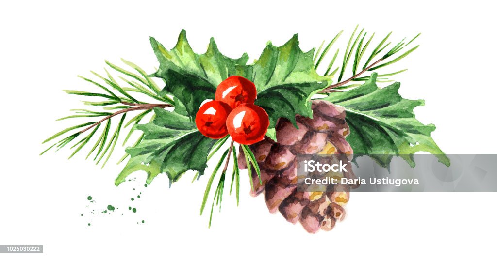 Christmas and New Year symbol decorative Holly berry with pine cone and branch composition. Watercolor hand drawn illustration, isolated on white background Watercolor Painting stock illustration