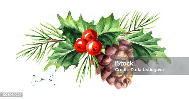 Christmas And New Year Symbol Decorative Holly Berry With Pine Cone And Branch Composition Watercolor Hand Drawn Illustration Isolated On White Background Stock Illustration - Download Image Now