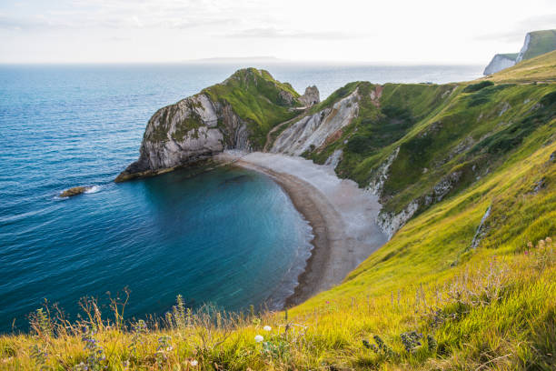 Man of War Beach on West Lulworth Cove on a Sunny Day Man of War Beach on West Lulworth Cove on a Sunny Day jurassic coast world heritage site stock pictures, royalty-free photos & images