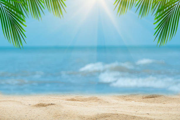 wierzchołek drewnianego stołu z rozmytym tłem morza i palmy,concept summer, plaża, morze, relaks. - thailand surat thani province ko samui coconut palm tree zdjęcia i obrazy z banku zdjęć