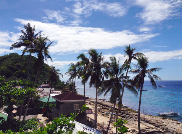 красивый пляж на острове апо, недалеко от думагете, негрос восточный, филиппины - apo island стоковые фото и изображения