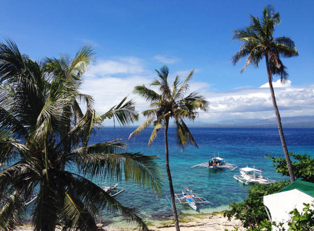 ドゥマゲテ、ネグロス オリエンタル、フィリピン近海の apo 島の美しいビーチ - apo island ストックフォトと画像