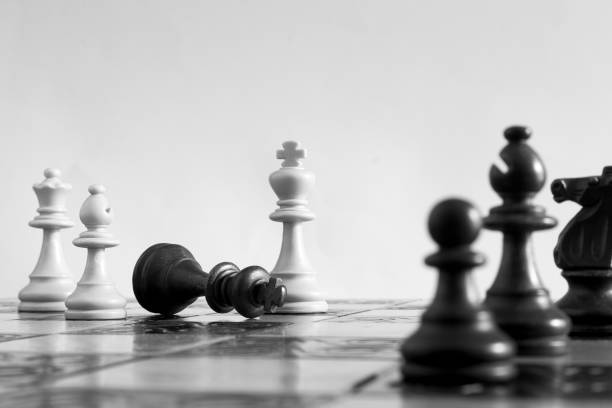 istock Chess photographed on a chessboard 1026039138