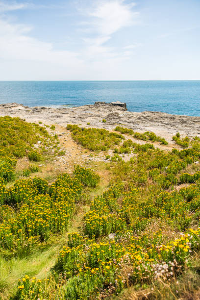 istock Jurassic Coast Line with Turquoise Sea on a Sunny Day 1026039148