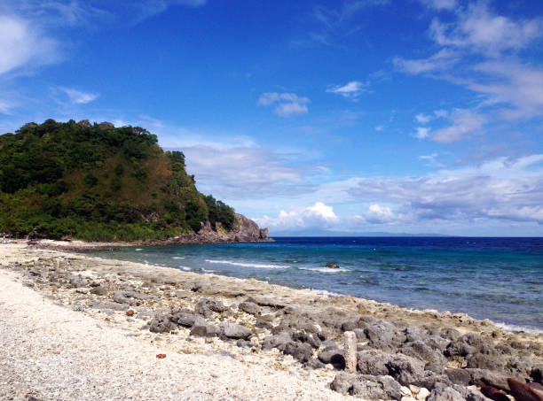 apo는 아일랜드, 더 마 겟, negros 동양, 필리핀 근처에 아름 다운 해변 - apo island 뉴스 사진 이미지