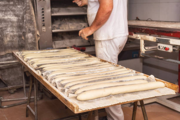 istock Baker preparing uncooked bread dough loaves ready to bake 1026040296