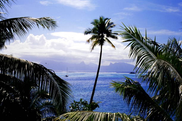 istock Sea view on Tahiti island 1026060284