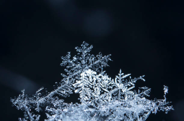 istock snowflake, little snowflake on the snow 1026070230