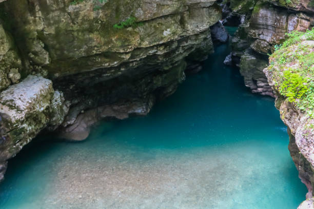 istock Martvili canyon in Georgia 1026077868