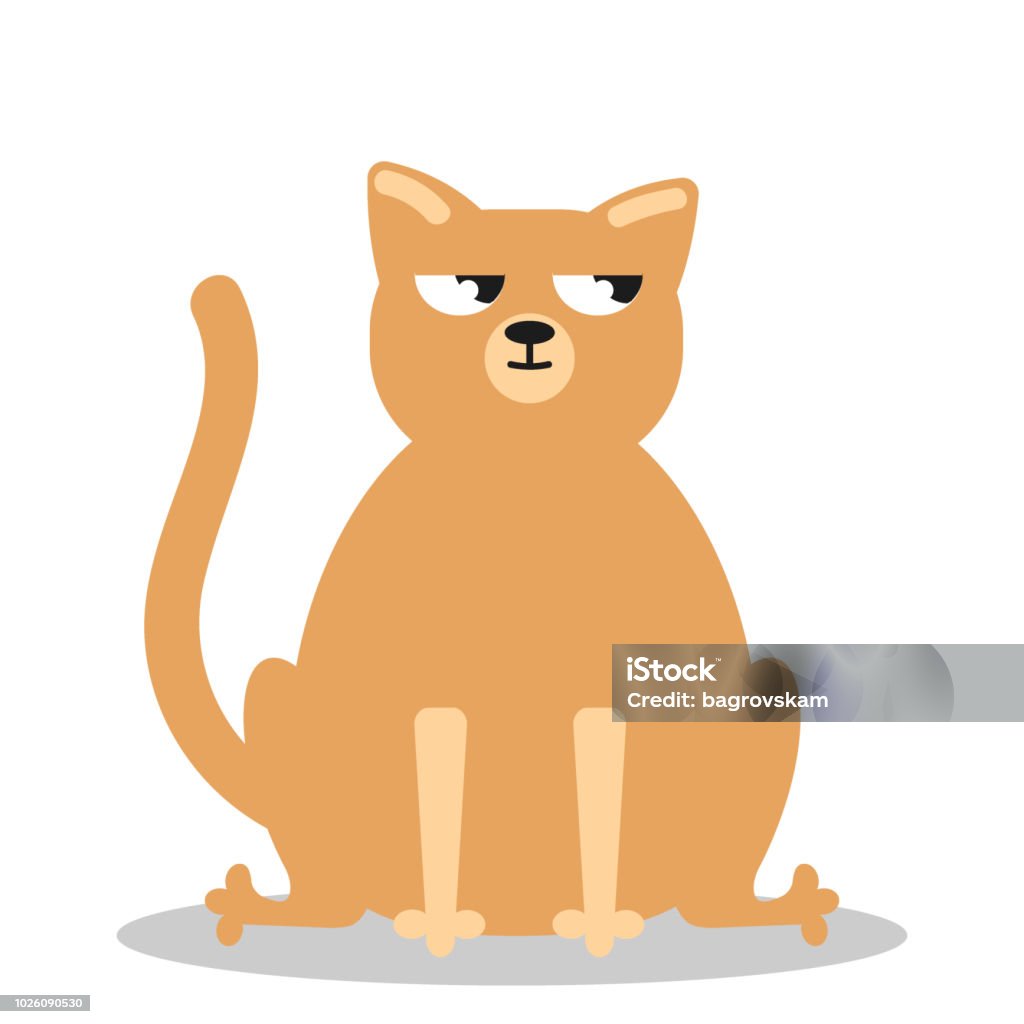 Angry grumpy cat flat vector Sad cat. Angry grumpy cat flat vector. Nope kitty on white background. Vector flat icon illustration eps10 Anger stock vector