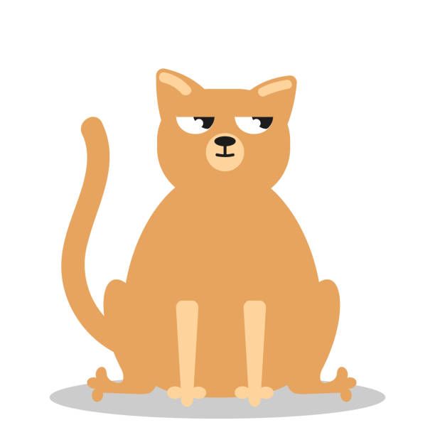 20+ Sad Cat Meme Stock Illustrations, Royalty-Free Vector Graphics