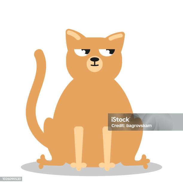 Angry Grumpy Cat Flat Vector Stock Illustration - Download Image Now - Anger, Animal, Animal Hair