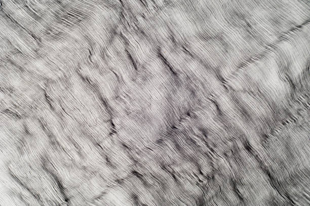 istock Texture fabric background. A thin cotton black cloth. Light airy fabric. White fabrics background , Wedding, Valentine, Engagement, Anniversary theme 1026093676
