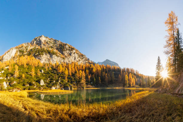 istock Alpin Lake Schwarzensee in fall, Berchtesgaden National Park - Alps 1026103746