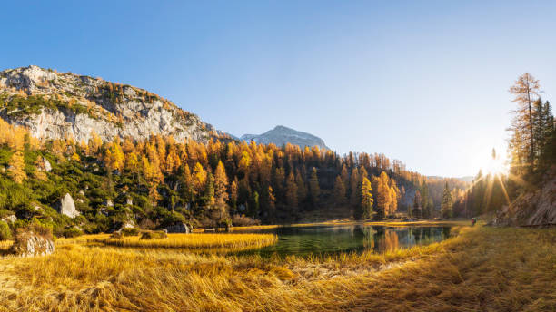 Lonely Hiker at Alpin Lake Schwarzensee in fall, Nationalpark Berchtesgaden - Alps Königssee - Bavaria, Bavaria, Berchtesgaden, St.Bartholomae, Germany berchtesgaden national park photos stock pictures, royalty-free photos & images