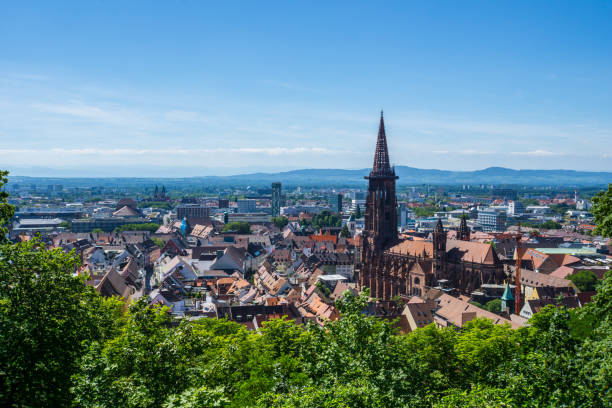 germany, freiburg im breisgau - black forest forest sky blue imagens e fotografias de stock