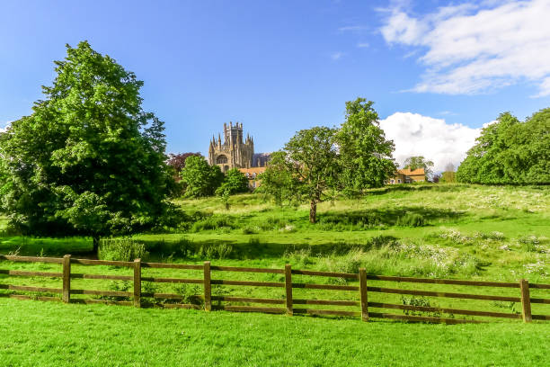 View of Ely Cathedral in Cambridgeshire, England View of historical Ely Cathedral from Cherry Hill Park in summer, Ely, Cambridgeshire, England ely england photos stock pictures, royalty-free photos & images