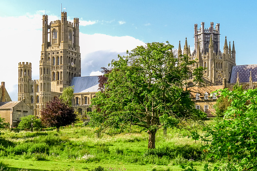 View of historical Ely Cathedral from Cherry Hill Park in summer, Ely, Cambridgeshire, England