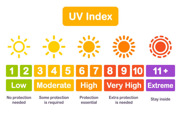 ilustraciones, imágenes clip art, dibujos animados e iconos de stock de uv index gráfico infografía - luz ultra violeta