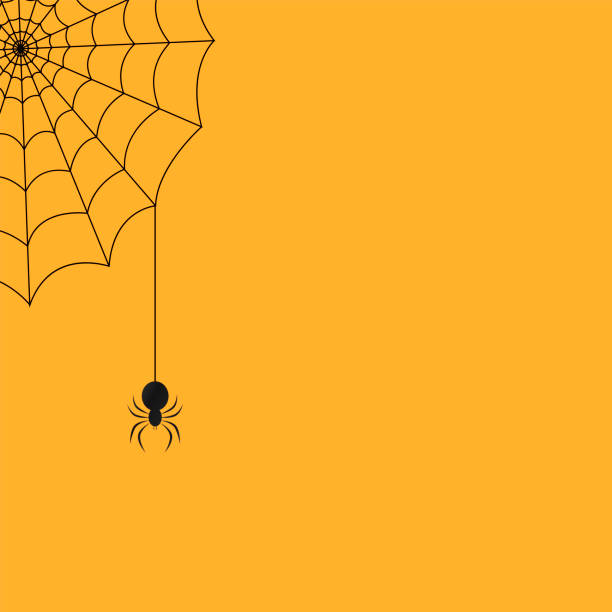 halloween tło z pająkiem i siecią. ilustracja wektorowa - stone coffin stock illustrations
