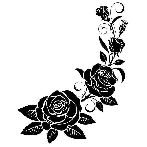 Branch of roses Branch of roses on a white background frame outline silhouette stock illustrations