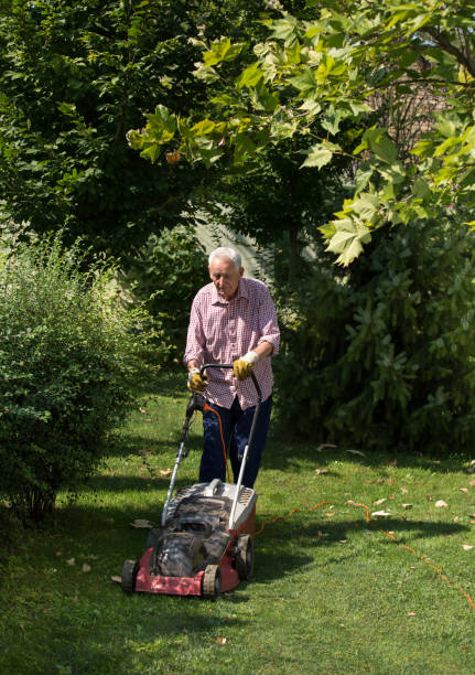 istock Old man mowing lawn in yard 1026131744
