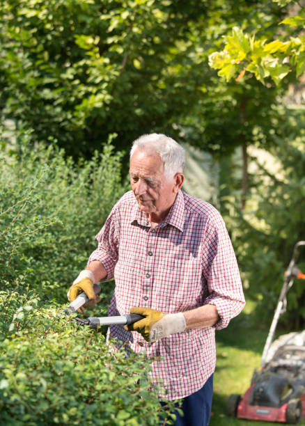 istock Senior man trimming hedge 1026131790