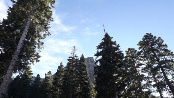 istock Mt Charleston Cathedral Rock Trail 1026132022