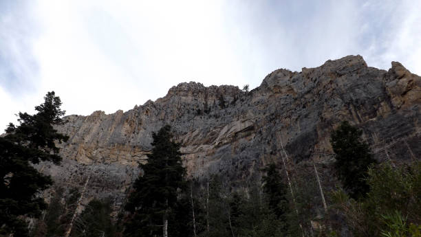 istock Mt Charleston Cathedral Rock Trail 1026135480