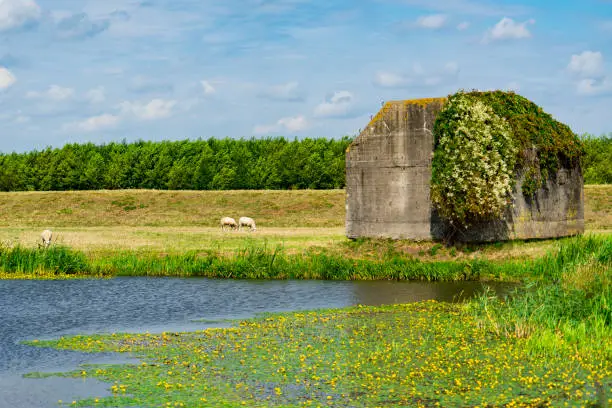 Dutch landscape in Brabant, Holland