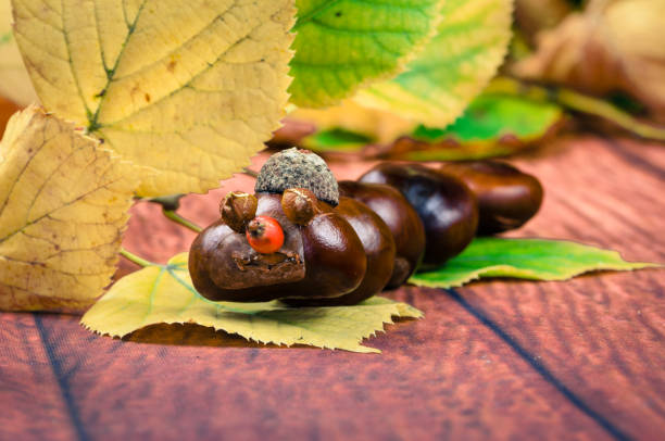 istock chestnut autumn craft concept 1026144446