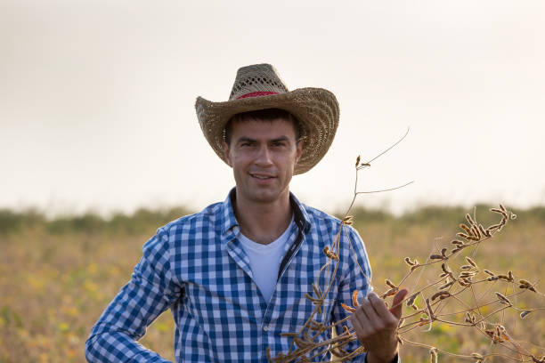istock Farmer in soybean field at harvest 1026155200