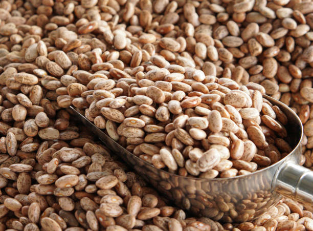istock Dry bean in bulk with chrome steel scoop 1026155404