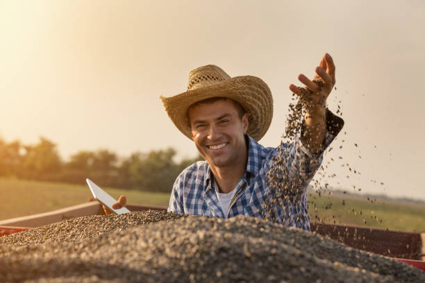 agricultores con semillas de girasol en la mano - farmer rural scene laptop computer fotografías e imágenes de stock