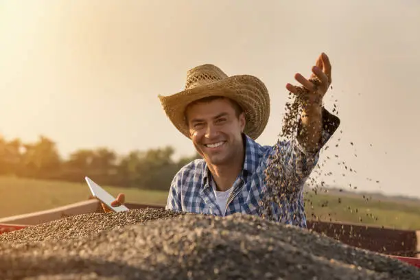 Photo of Farmer holding sunflower seeds in hand