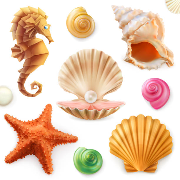 illustrazioni stock, clip art, cartoni animati e icone di tendenza di conchiglia, lumaca, mollusco, stella marina, cavallo di mare. set di icone 3d - conchiglia