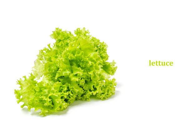 Bundle of Vegetable salad on white background.Fresh and healthy vegetables.
