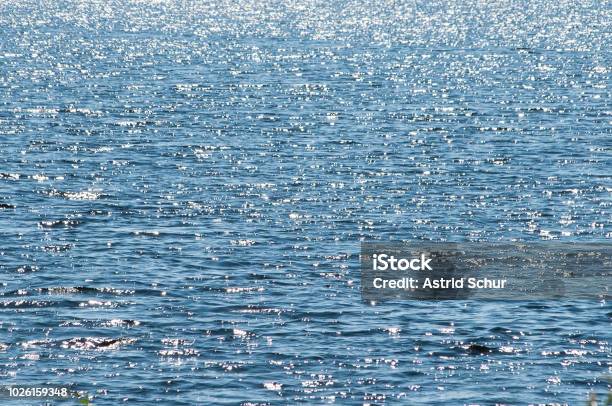 Steg Mit Familie Baden Stockfoto und mehr Bilder von Bildhintergrund - Bildhintergrund, Blau, Fotografie