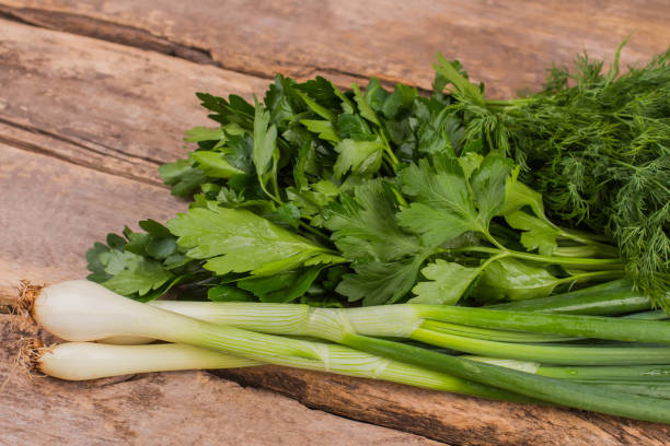 istock Fresh parsley, green onion and dill. 1026169436