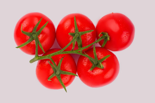 istock Stem vine of red tomatoes. 1026175110