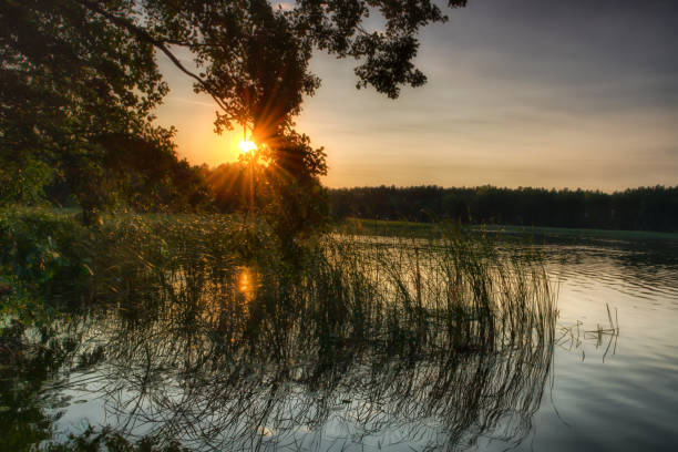 istock Sunset over the picturesque lake 1026175198