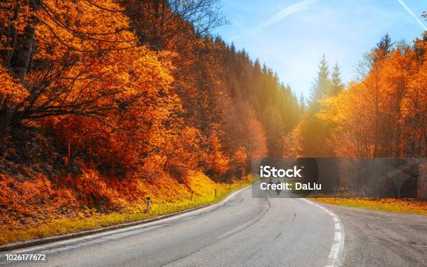 Bikers On Mountainous Highway Biker On The Road In Sunset Light In Autumn Riding On Curve Road Pass Across Alpine Mountains Extreme Lifestyle Freedom Concept Austria Alps Stock Photo - Download Image Now