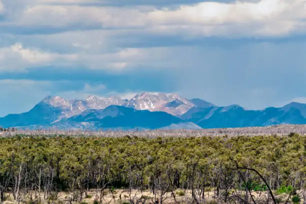 Mesa Verde National Park hillside