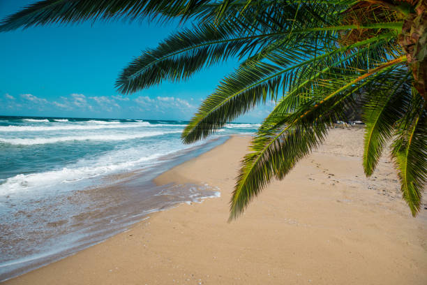 istock Nice view of the sea 1026178498
