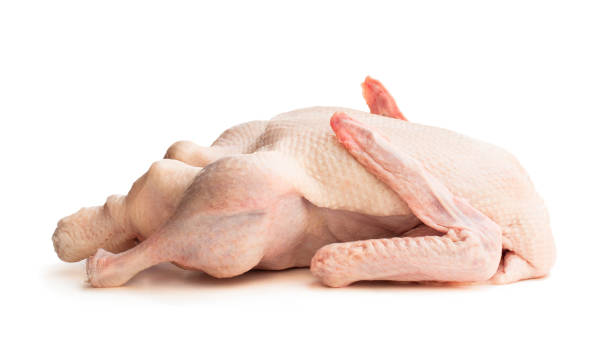 Raw whole  duck isolated on white