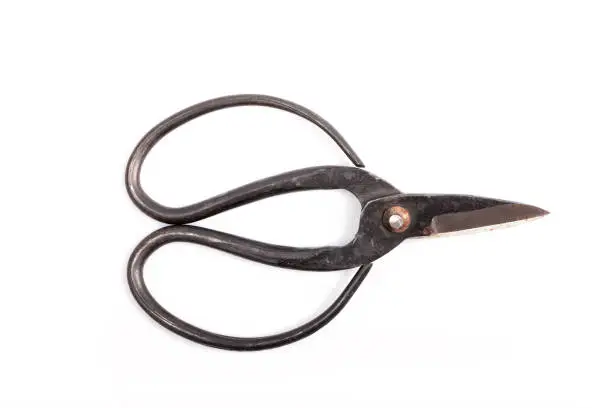 Photo of An old pruning scissors for bonsai isolated