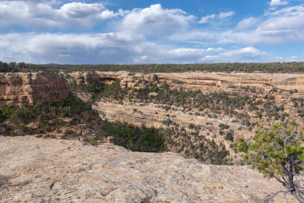 istock Mesa Verde cliff dwelling from a distance with surrounding cliffs 1026187022