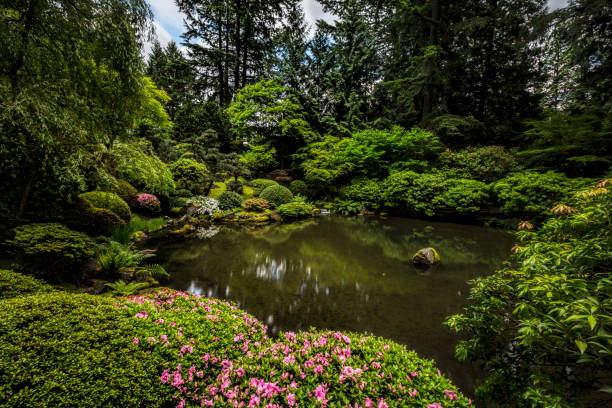 istock Japanese Garden 1026191834