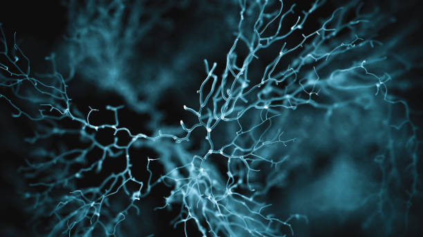 Neuron system Neuron cells system - 3d rendered image of Neuron cell network on black background. Hologram view  interconnected neurons cells with electrical pulses. Conceptual medical image.  Glowing synapse.  Healthcare concept. nerve cell stock pictures, royalty-free photos & images