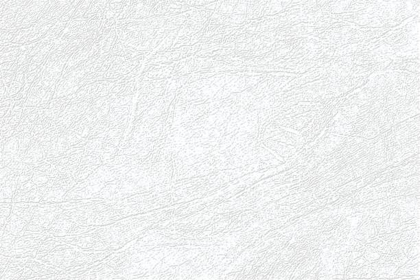 Light gray skin texture, genuine or faux white leather background, closeup. Colored  skin texture, natural or faux white leather background. Light gray leatherette, closeup. animal skin stock illustrations